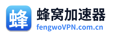 蜂窝VPN